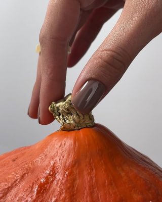 Jesenná kolekcia VELVET. 🍂🤩 Ktorá farba vás najviac zaujala? #farebnegelovelaky #jesennámanikúra #nailshop #naildesign...